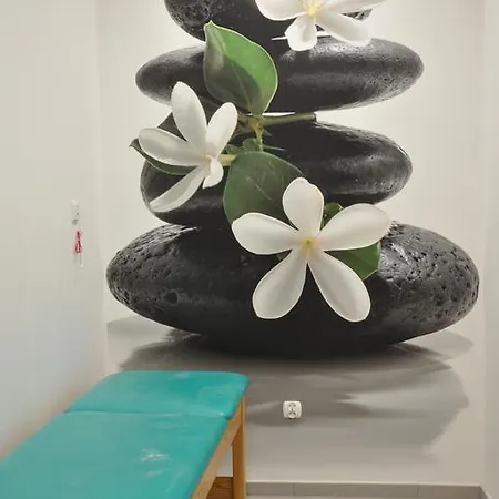 בית אירוח Uzdrowisko Borkowo *